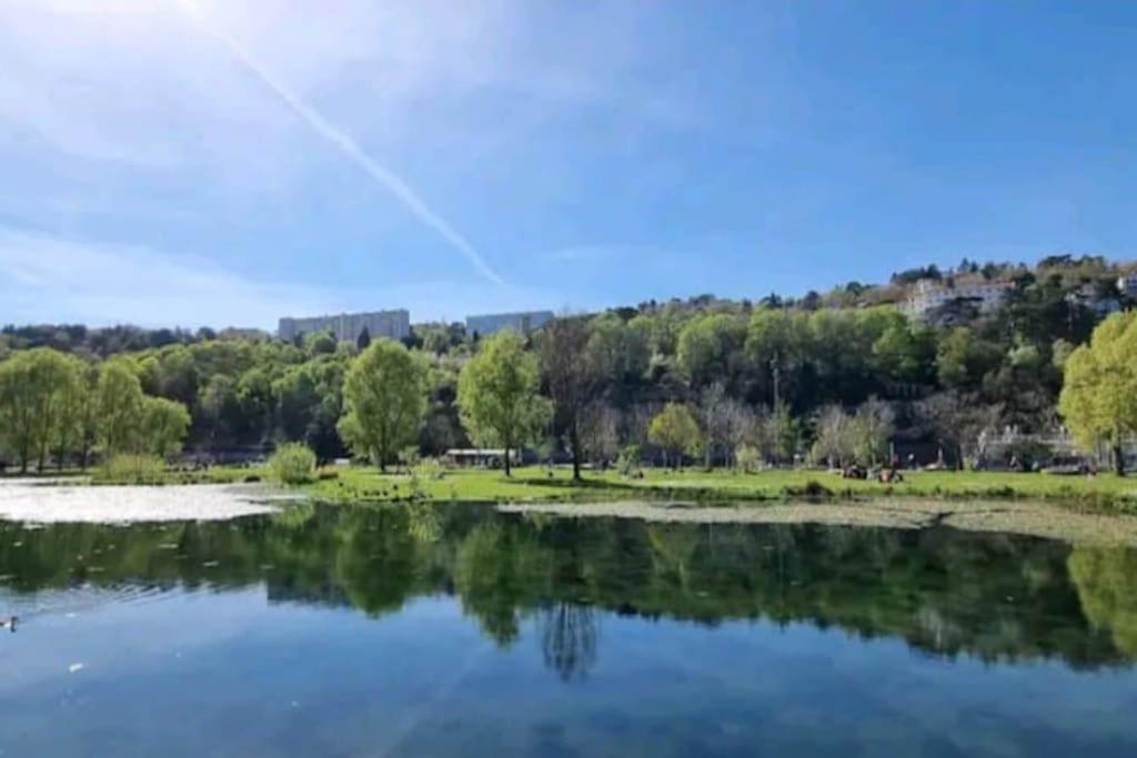 Appartement Dans Peniche Atypique Et Idyllique A Confluence Lione Esterno foto
